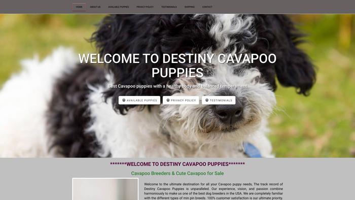 Destinycavapoopups.com - Cavapoo Puppy Scam Review