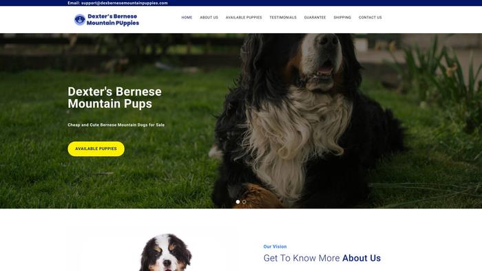 Dexbernesemountainpuppies.com - Bernese Mountain Dog Puppy Scam Review