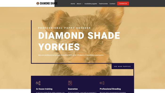 Diamondshadeyorkies.com - Yorkshire Terrier Puppy Scam Review