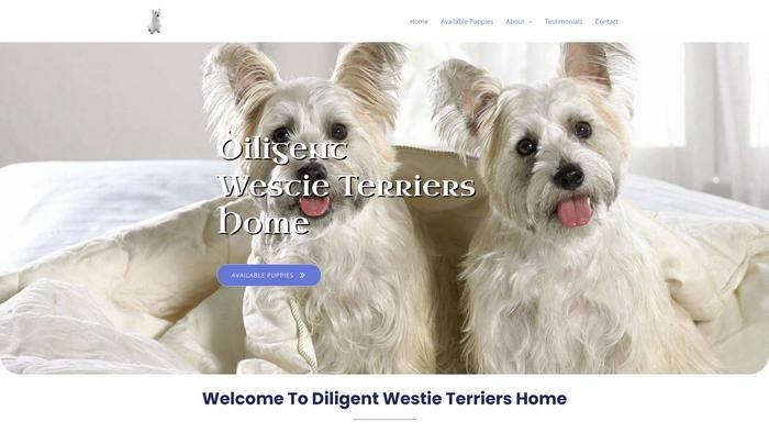 Diligentwestieterrieshome.com - Terrier Puppy Scam Review