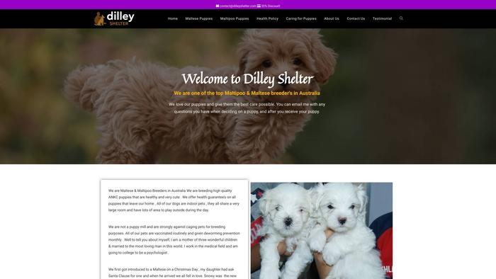 Dilleyshelter.com - Maltese Puppy Scam Review