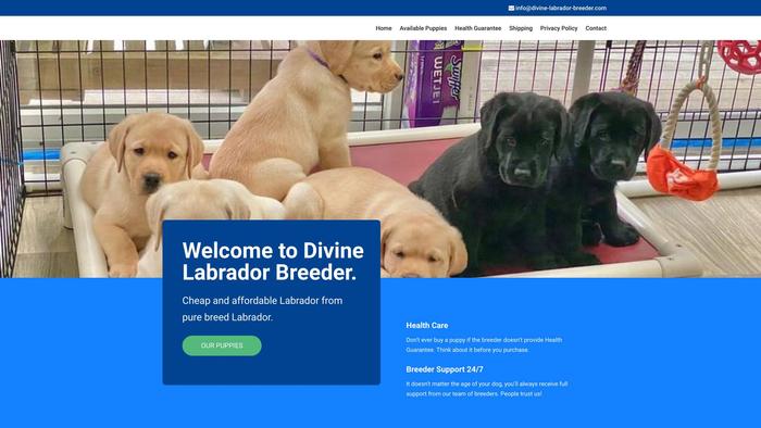 Divine-labrador-breeder.com - Labrador Puppy Scam Review