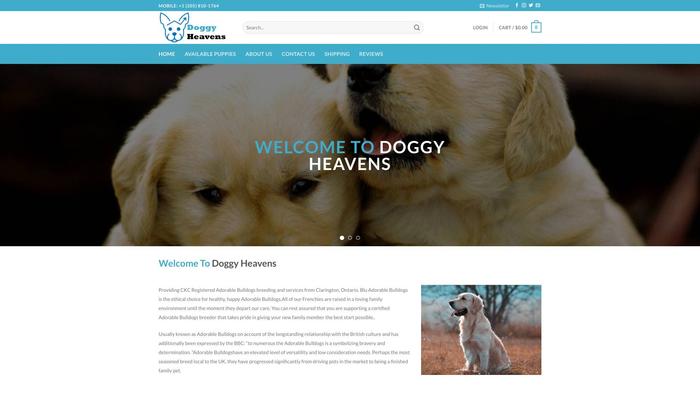 Doggyheavens.com - Labrador Puppy Scam Review