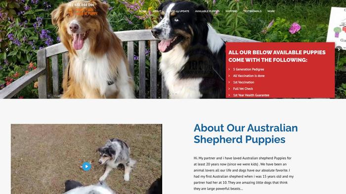 Dollyfarmaussiepuppy.com - Australian Shepherd Puppy Scam Review