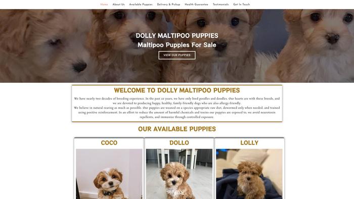 Dollymaltipoopuppies.com - Maltipoo Puppy Scam Review