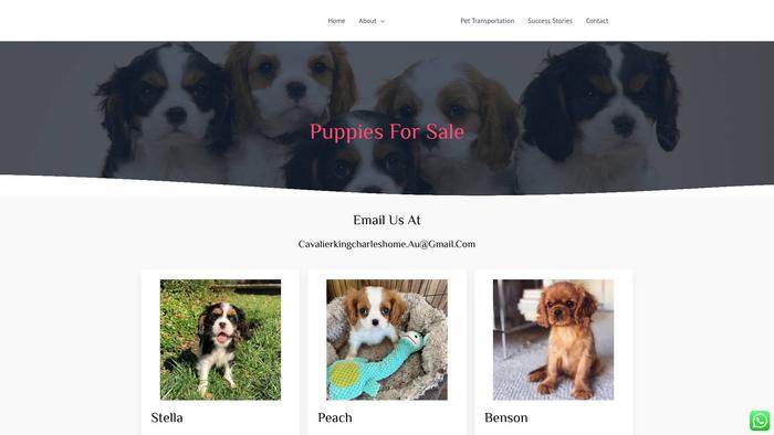 Dominioncavaliers.com - Cavalier King Charles Spaniel Puppy Scam Review