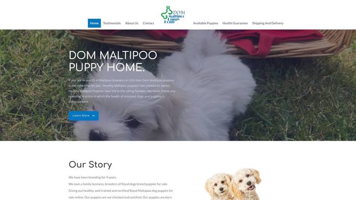 Dommaltipoopuppies.com - Maltipoo Puppy Scam Review