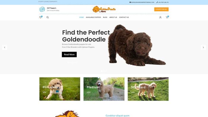 Doodles4homeuk.com - Labradoodle Puppy Scam Review