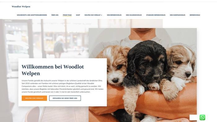 Doodlewelpen.store - Labradoodle Puppy Scam Review