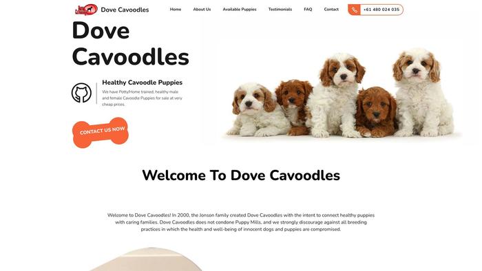 Dovecavoodles.com - Cavapoo Puppy Scam Review