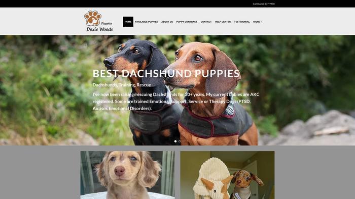 Doxiewoodspuppies.com - Dachshund Puppy Scam Review