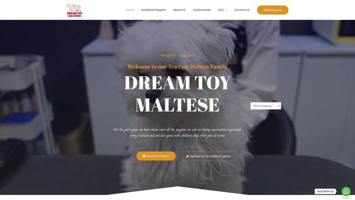 Dreamtoymaltese.com - Maltese Puppy Scam Review