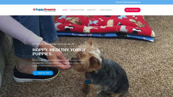 Dreamyorkiepups.com - Yorkshire Terrier Puppy Scam Review