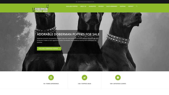 Dubermanpupshome.com - Doberman Pinscher Puppy Scam Review