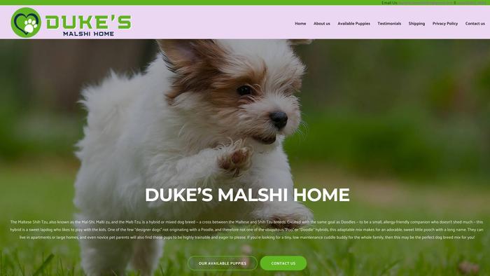 Dukemalshihome.com - Maltipoo Puppy Scam Review