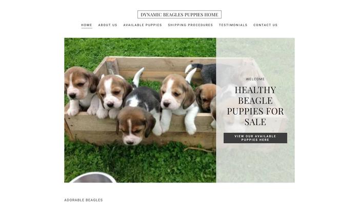 Dynamicbeaglepupshome.com - Beagle Puppy Scam Review