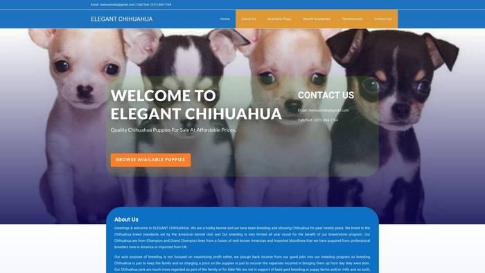 Elegantchihuahua.com - Chihuahua Puppy Scam Review