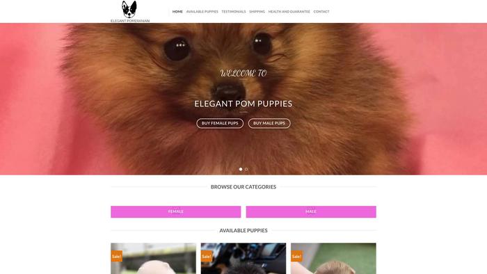 Elegantpompuppies.com - Pomeranian Puppy Scam Review