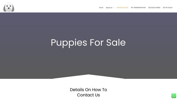 Elixirpuppykennel.online - Maltipoo Puppy Scam Review