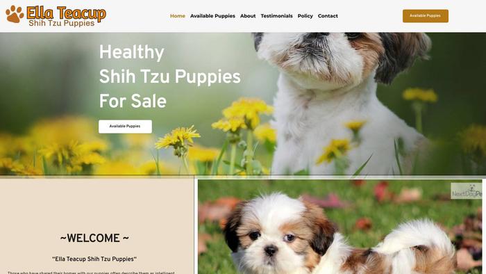 Ellateacupshihtzupuppies.com - Shihtzu Puppy Scam Review