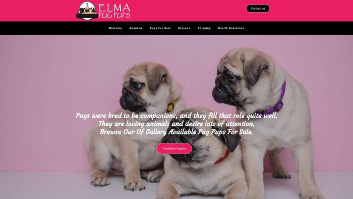 Elmapugpups.com - Pug Puppy Scam Review