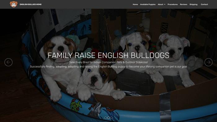 Englishbulldogspuphomes.com - English Bulldog Puppy Scam Review