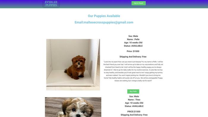 Everleemaltesecrosshome.com - Maltese Puppy Scam Review