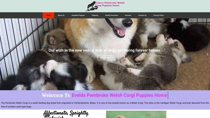 Evlarrypembrokewelshcorgipuppieshome.com - Corgi Puppy Scam Review