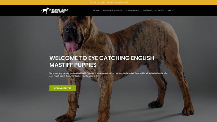 Eyecatchingenglishmastiffpuppies.com - Tibetan Mastiff Puppy Scam Review