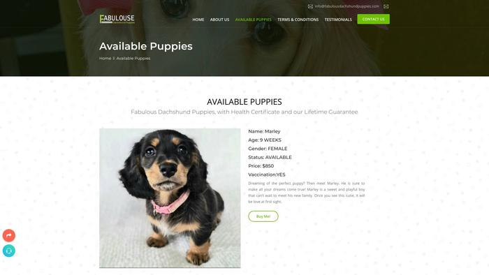 Fabulousdachshundpuppies.com - Dachshund Puppy Scam Review