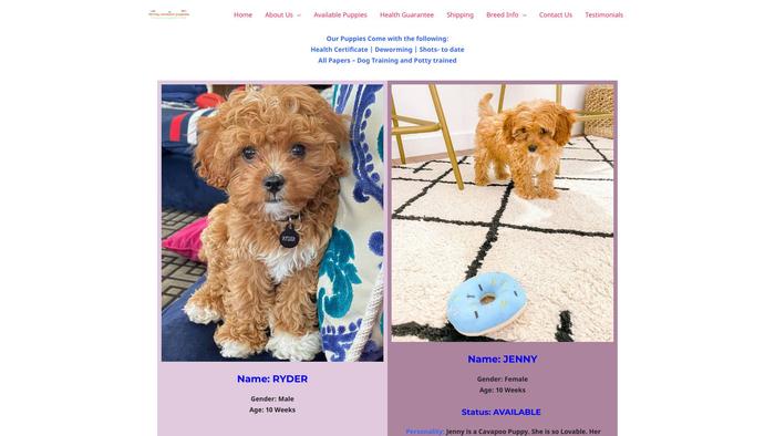 Familycavapoopuppies.com - Cavapoo Puppy Scam Review