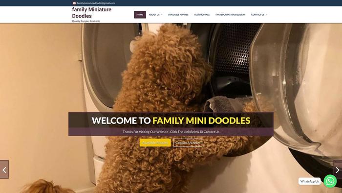 Familyminiaturedoodleshome.com - Labradoodle Puppy Scam Review