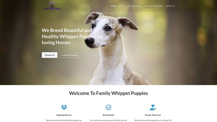 Familywhippetpuppies.com - Whippet Puppy Scam Review