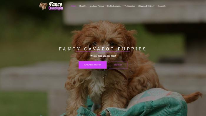 Fancy-cavapoopuppies.com - Cavapoo Puppy Scam Review