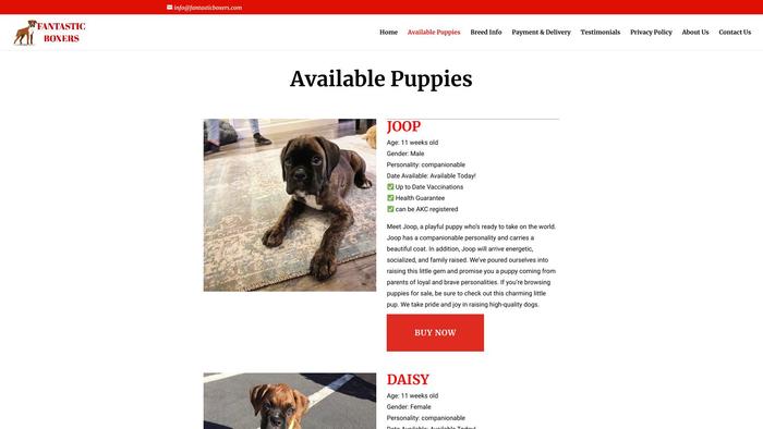 Fantasticboxers.com - Boxer Puppy Scam Review