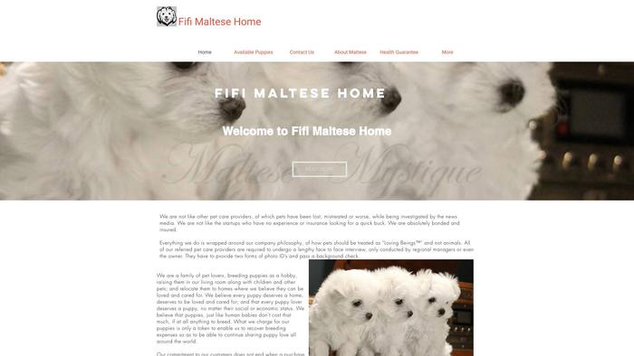 Fifimaltesehome.com - Maltese Puppy Scam Review