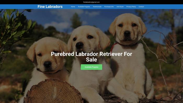 Finelabradors.com - Golden Retriever Puppy Scam Review