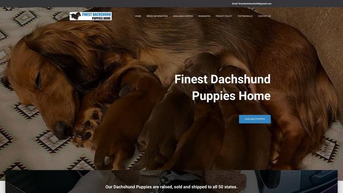 Finestdachshundpups.com - Dachshund Puppy Scam Review