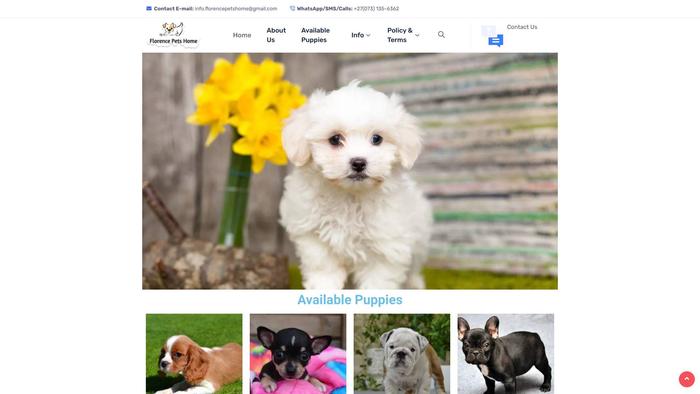 Florencepetshome.com - Bichon Frise Puppy Scam Review