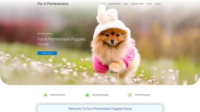 Forapomeranians24.com - Pomeranian Puppy Scam Review