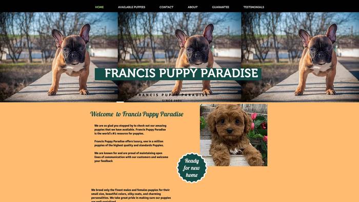 Francispuppyparadise.com - French Bulldog Puppy Scam Review