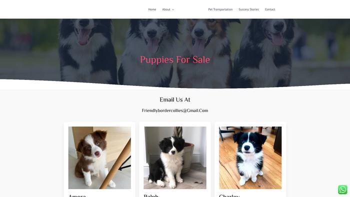 Friendlybordercollies.com - Bordercollie Puppy Scam Review