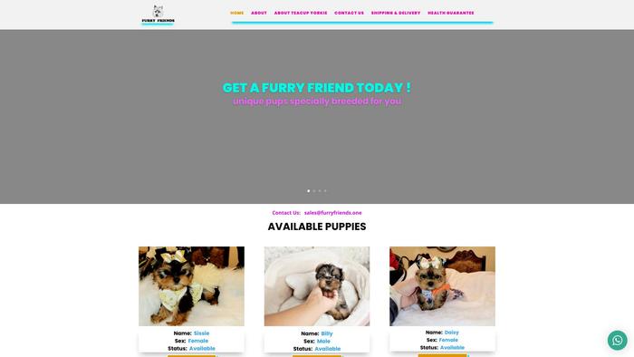 Furryfriends.one - Yorkshire Terrier Puppy Scam Review