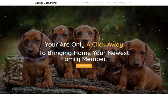 Gabrieldachshund.com - Dachshund Puppy Scam Review