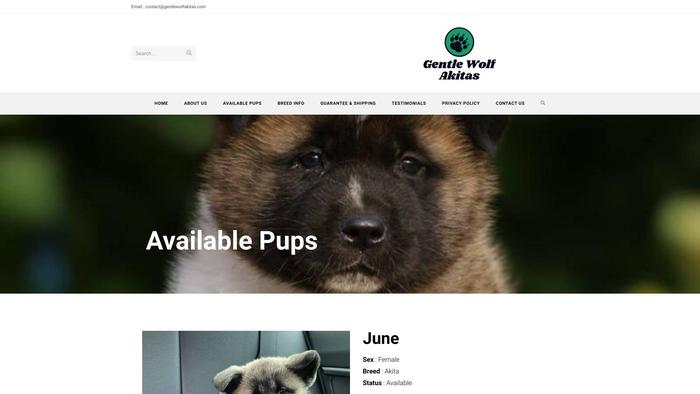 Gentlewolfakitas.com - Akita Puppy Scam Review