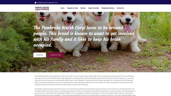 Georgecartercorgipuppies.com - Corgi Puppy Scam Review