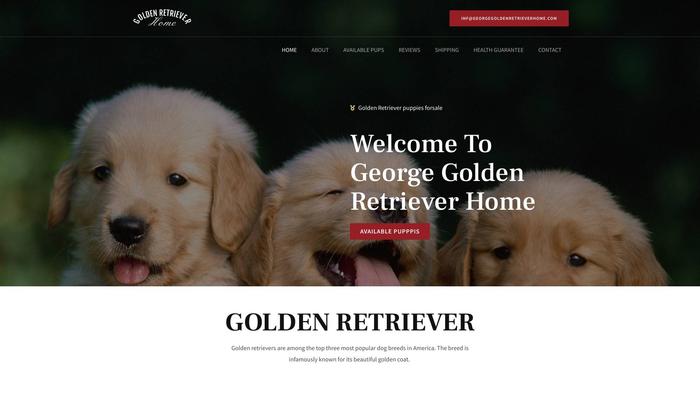 Georgegoldenretrieverhome.com - Golden Retriever Puppy Scam Review