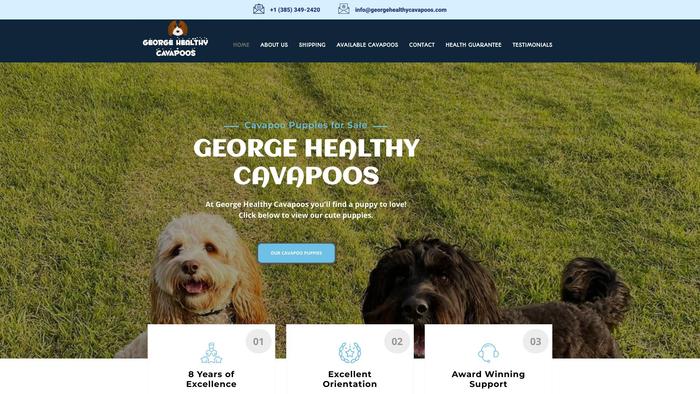 Georgehealthycavapoos.com - Cavapoo Puppy Scam Review