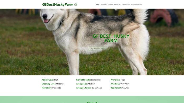 Gfbesthuskyfarm.com - Husky Puppy Scam Review