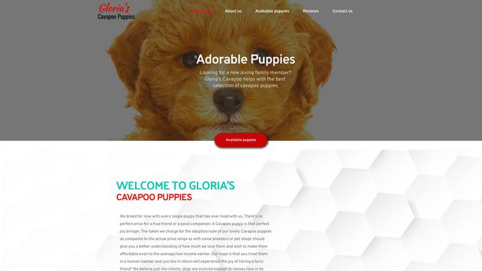 Gloriacavapoopuppies.com - Cavapoo Puppy Scam Review